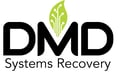 DMDS1001VectorLogo_Color-1